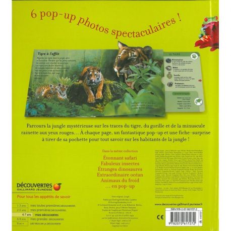 JUNGLE MYSTERIEUSE EN POP-UP