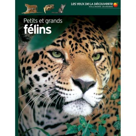 PETITS ET GRANDS FELINS