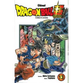 DRAGON BALL SUPER T13