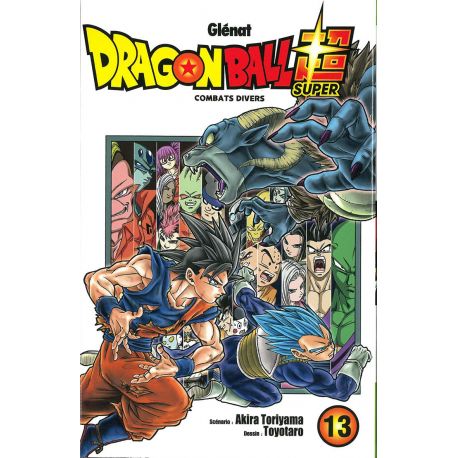 DRAGON BALL SUPER T13