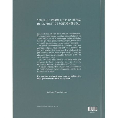 100 BLEAU BLOCS