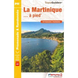 SLNA LA MARTINIQUE À PIED D972