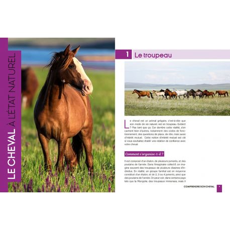 MIEUX COMPRENDRE SON CHEVAL