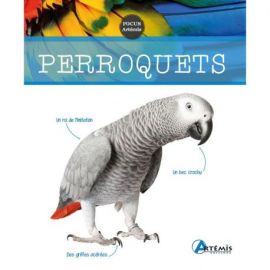 PERROQUETS