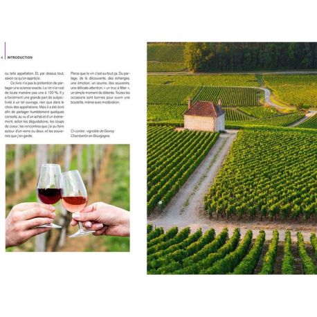 LE PETIT GUIDE DE L'APPRENTI SOMMELIER - BOIRE & OFFRIR DU VIN