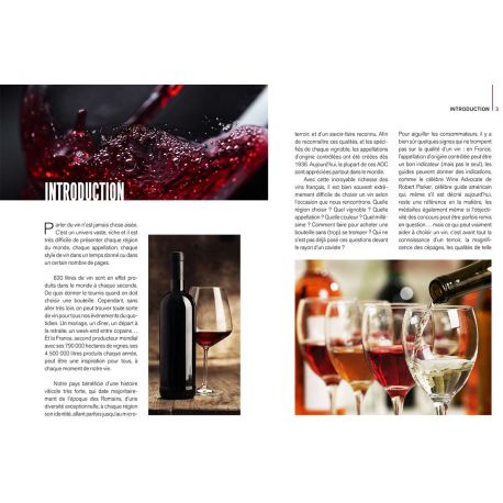 LE PETIT GUIDE DE L'APPRENTI SOMMELIER - BOIRE & OFFRIR DU VIN