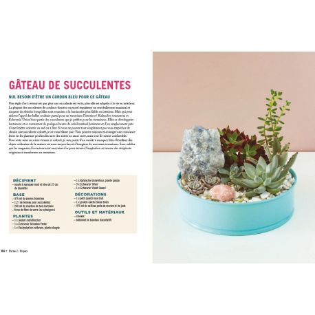 TERRARIUMS - 33 PROJETS POUR CREER DES JARDINS MINIATURES
