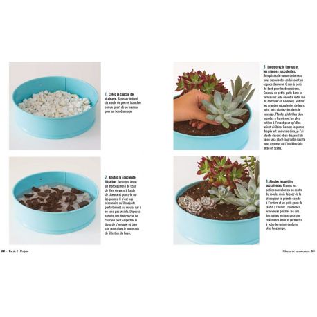 TERRARIUMS - 33 PROJETS POUR CREER DES JARDINS MINIATURES