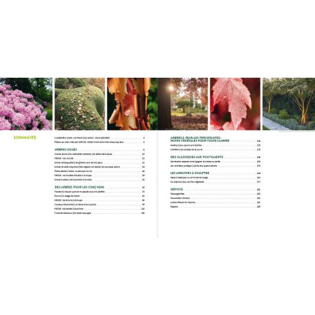 ARBRES - 180 ESPECES POUR LE JARDIN BIEN CHOISIR, PLANTER, ENTRETENIR