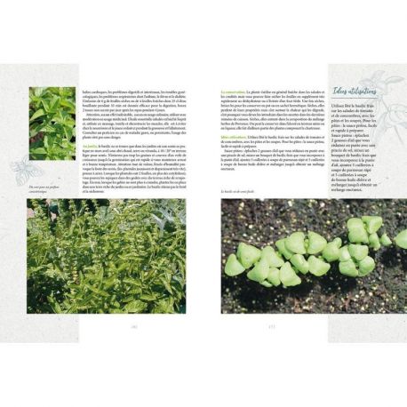 PLANTES AROMATIQUES ET MEDICINALES SAUVAGES