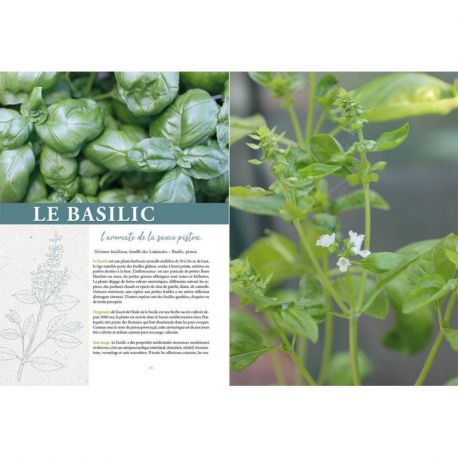 PLANTES AROMATIQUES ET MEDICINALES SAUVAGES