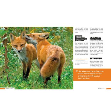 RENARD