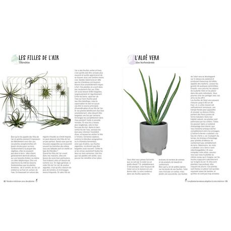 MA DECO INTERIEURE AVEC DES PLANTES PROJETS DIY