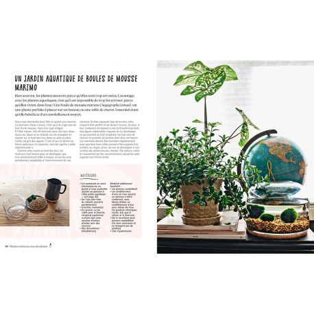 MA DECO INTERIEURE AVEC DES PLANTES PROJETS DIY