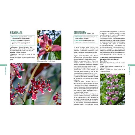 LES ORCHIDEES