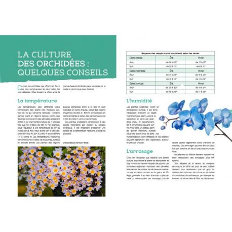 LES ORCHIDEES