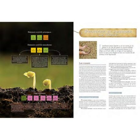 LES BONS GESTES AU POTAGER
