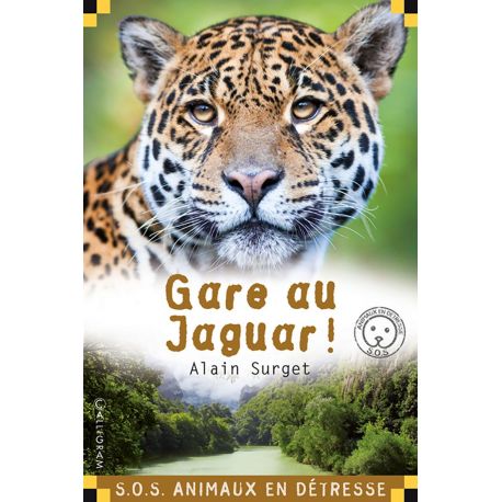 GARE AU JAGUAR