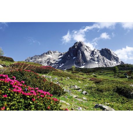 TOUS LES TOURS DU THABOR