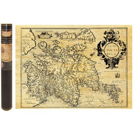 ECOSSE EN 1585 50 CM X 38 CM