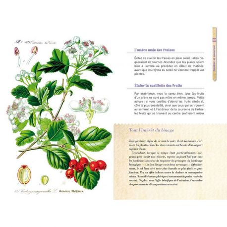 500 TRUCS ET ASTUCES POUR TOUT REUSSIR AU JARDIN