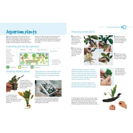 AQUARIUM D'EAU DE MER