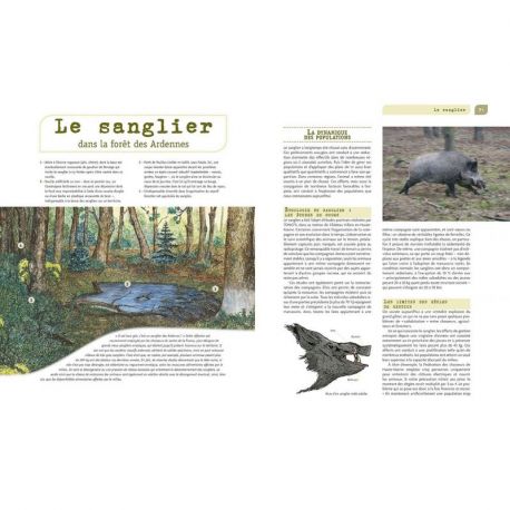 LA CHASSE DU GIBIER PAR MILIEUX