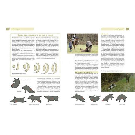 LA CHASSE DU GIBIER PAR MILIEUX