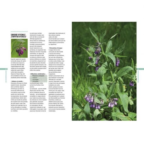 UN JARDIN DE PLANTES MEDICINALES