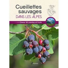 CUEILLETTES SAUVAGES DANS LES ALPES