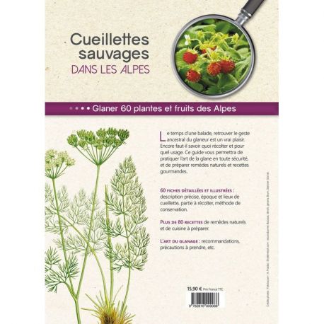 CUEILLETTES SAUVAGES DANS LES ALPES