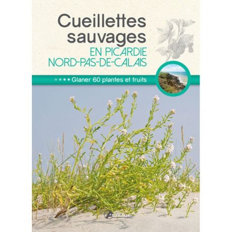 CUEILLETTES SAUVAGES PICARDIE NORD-PAS-DE-CALAIS
