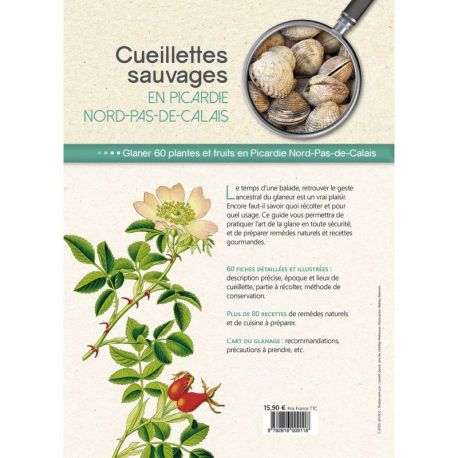 CUEILLETTES SAUVAGES PICARDIE NORD-PAS-DE-CALAIS