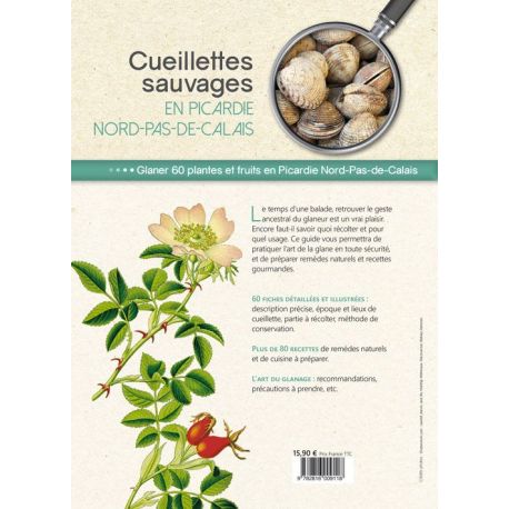 CUEILLETTES SAUVAGES PICARDIE NORD-PAS-DE-CALAIS