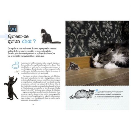 ET SI ON ACHETAIT UN CHAT ?