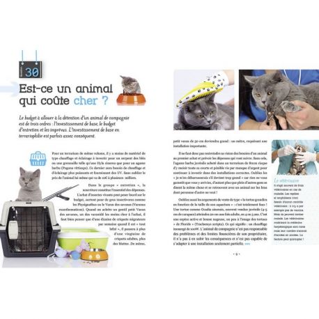 ET SI ON ACHETAIT UN CHAT ?