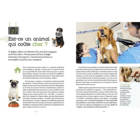 ET SI ON ACHETAIT UN CHIEN ?