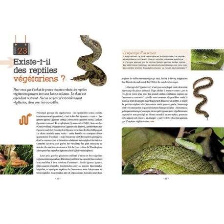 ET SI ON ACHETAIT UN SERPENT ?