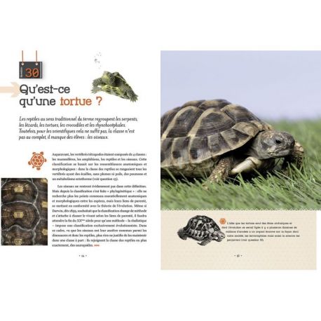 ET SI ON ACHETAIT UNE TORTUE ?