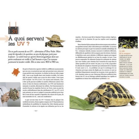 ET SI ON ACHETAIT UNE TORTUE ?