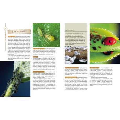 LUTTER BIO CONTRE LES PARASITES