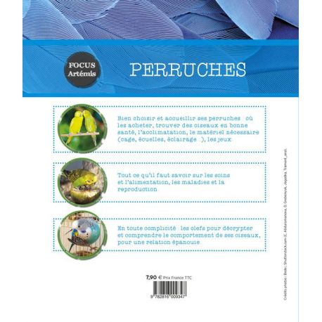 PERRUCHES