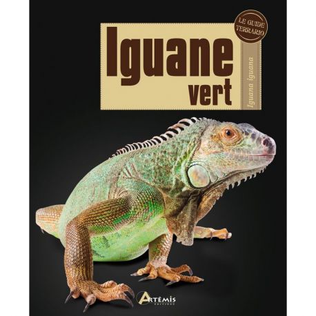 IGUANE VERT
