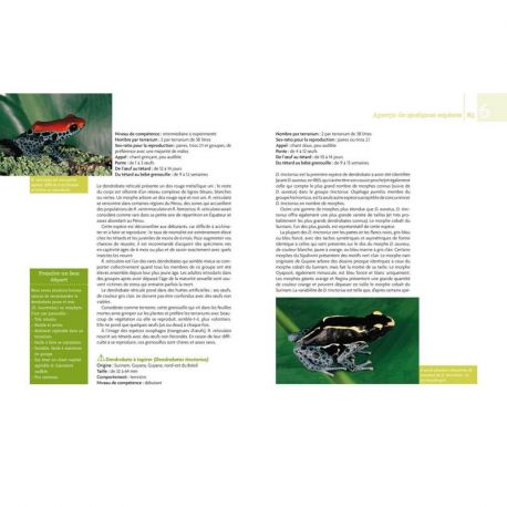 DENDROBATES