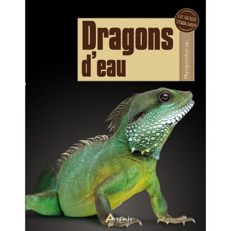 DRAGONS D'EAU