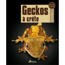 GECKOS A CRETE