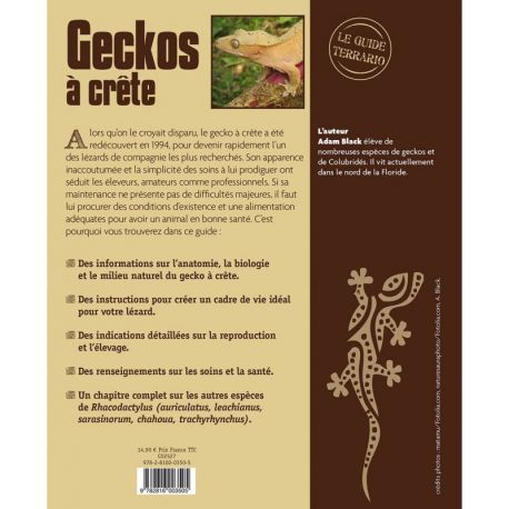 GECKOS A CRETE