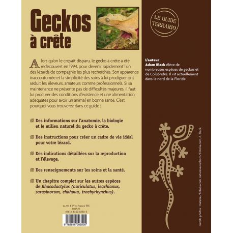 GECKOS A CRETE