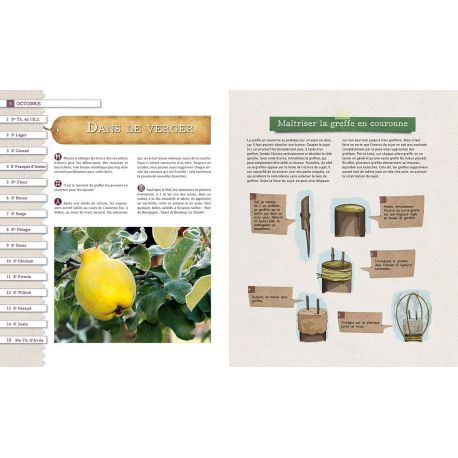 UNE ANNEE AU JARDIN CALENDRIER DES TRAVAUX