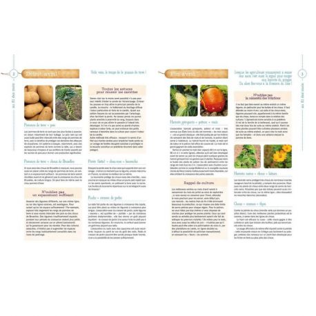 LES BONS GESTES AU POTAGER